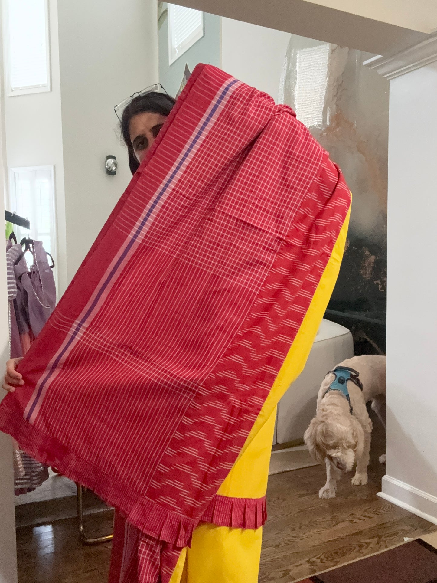 Gamcha Saree - cotton