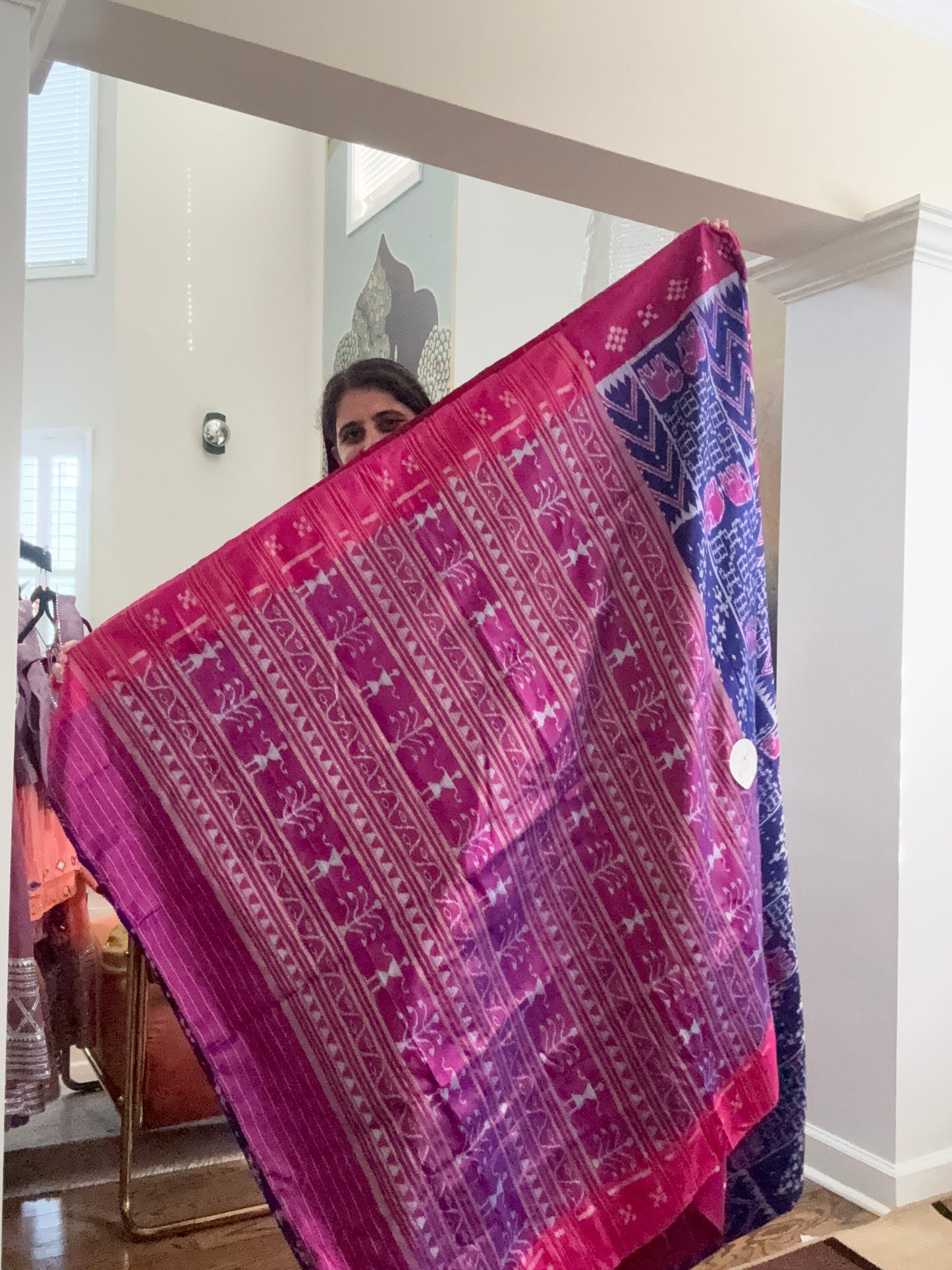 Orissa Ikkat Saree