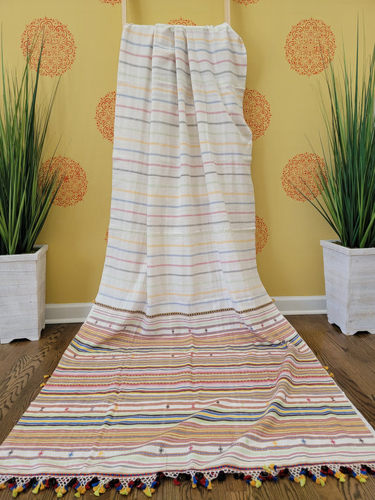 Kutchhi Handwoven Bhujodi Saree - White